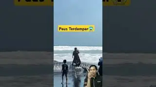 Paus terdampar! Hiu? Atau paus? #viralvideo #shortsviral #fishing #fish #shark
