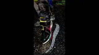 one two confuse my shoe