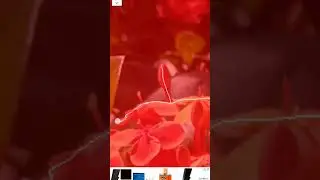 Jeito fácil de aplicar desfoque artificial nas fotos de celular