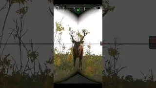 How does Dear Call work? - Cabela's Big Game Hunter Pro Hunts 2014 - #shorts #viral #hunting