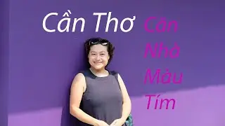 Purple house in Can Tho - An interesting place to visit in Can Tho