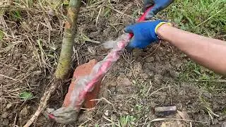Basic Hand Tools vs. Car Jack: Which is Best for Tree Removal After Windthrow