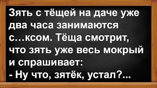 Про зятя с тёщей на даче... Анекдоты! Юмор! Позитив!