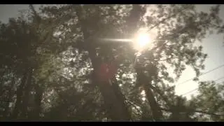 VW OneFilm