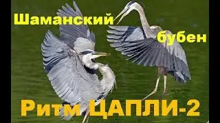 Шаманский Бубен - ритм цапли 2