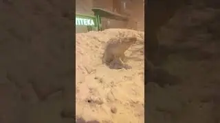 Норильск.  Достопримечательности. 69 параллель. Талнах. Айка. Ледин Юрий Янович. Легенда Норильска.