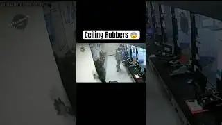 Video shows robbers drop into check cashing store from ceiling in $150,000 heist 😨 #violentcrime