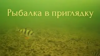 Fishing with an underwater camera. How to shoot underwater