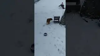 Возвращение домой♥️