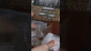 💖lps| unboxing Lana✨🎀 #littlestpetshop #lps #unboxing #shorts