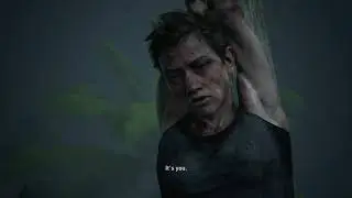 The last of us part II/ The end