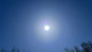 Total Solar Eclipse LIVE ☀️🌒hangout party 🎉 Illinois Totality