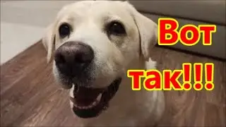 Охранник!