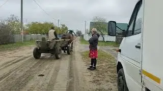 💗Маша красавица,Покупка✨