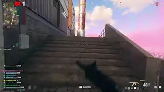 MW3  stream  im back
