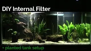 DIY Internal Filter + planted tank setup
