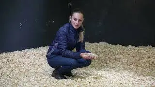 How to use Bedmax