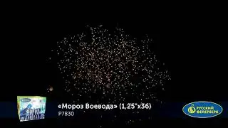 P7830 Фейерверк 