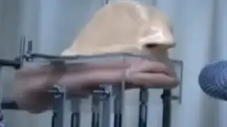 ААА МММ ООО ЭЭЭ мем 💀 #1