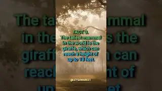 Interesting Facts 4 