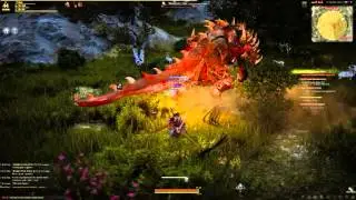 Black Desert. Соло Босс - генерал Сонил