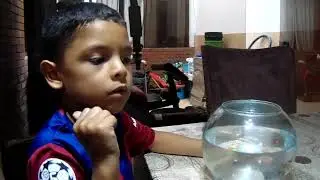 DIEGO PAOLO Y SUS PECES