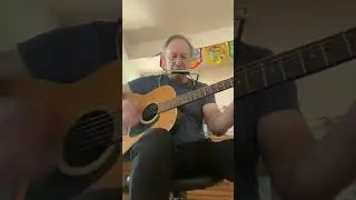 1980 guitar harmonica Yonatan ￼
