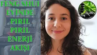 Feng Shui Nedir? Evindeki Pozitif Enerjiyi Yaşa