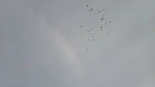 Бакинцы! 🕊🕊🕊
