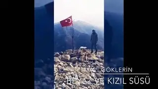 Avcılar Atatürk Ortaokulu