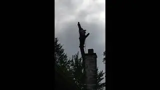Silver Maple Tree takedown
