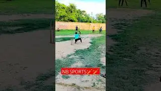 reverse king🔥🔥🔥 #shorts #cricket #shorthand #trending #viral #NB sports
