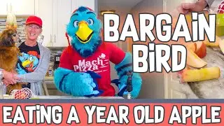 We ate a 365 Day Old Apple! - Bargain Bird - Ft. Mama Eagle