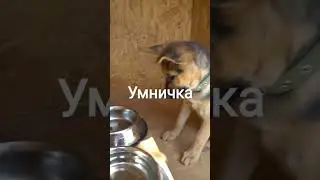 Моёхозяйство #automobile