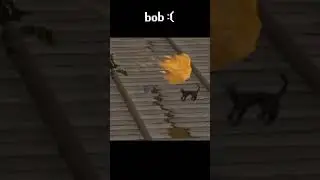 When a new quest comes out 