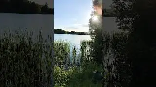 #природа #дочь #любовь #тренд #music #топ