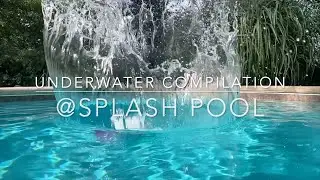 Underwater Compilation @splashpool