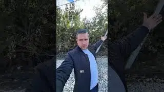 Ещё не поздно купить недвижимость в Краснодаре
