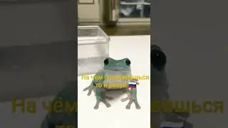 💕~На чем остановиться то и рисуй~🖌️