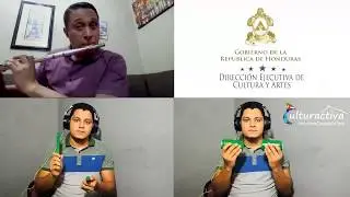 Pista de acompañamiento musical, 