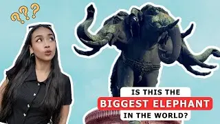 Step Inside the World’s Most Extraordinary Elephant Museum 🐘🇹🇭✨