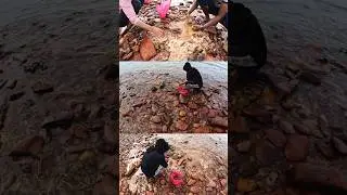 Cari Retak Seribu