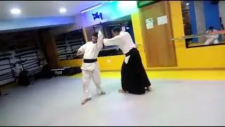 katate dori Ai hanmi shihonage