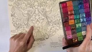 Claire Holoway Colouring - Basford Secret Garden Hummingbirds KJDesignByKaren paints