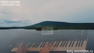 instrumental music KORG PA4X