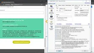 11  installing Vesta CP with LEMP Model
