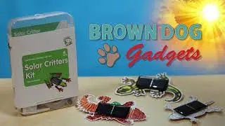 How to Build a Solar Critter