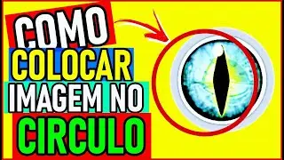 como COLOCAR uma FOTO dentro de um CIRCULO no CANVA