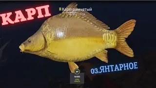 Русская рыбалка 4 озеро Янтарное КАРП  russian fishing 4 (РР4) lake Amber CARP FARM