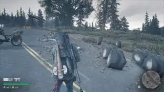 DAYS GONE Bug and loot